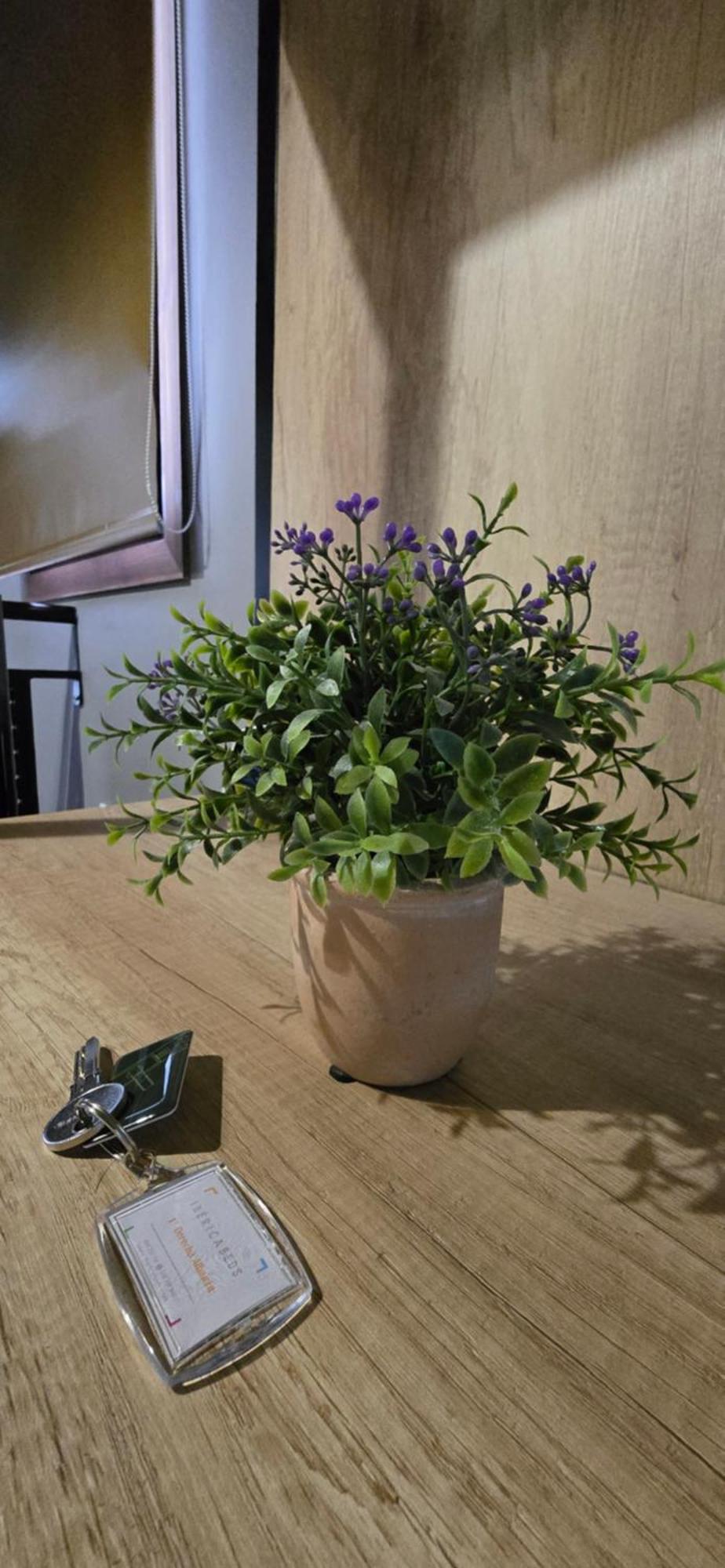 Ibericabeds Albaicin Apartman Granada Kültér fotó